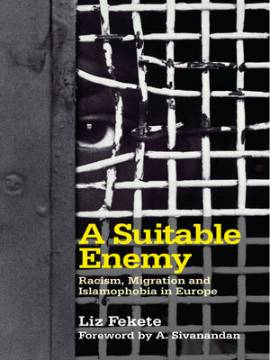 cover image of A Suitable Enemy